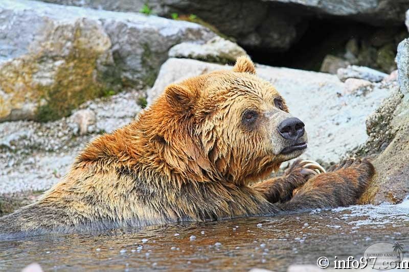 zoo-st-felicien-7.jpg