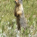 banff-alberta-098.jpg