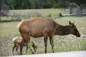 park-jasper-2-11