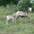 park-jasper-083.jpg