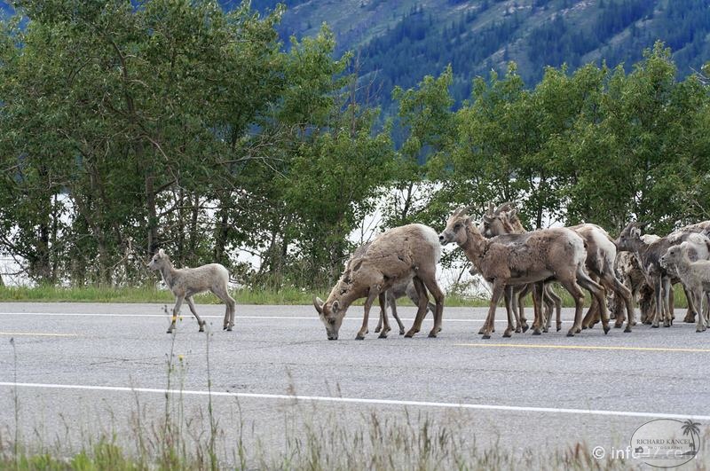 park-jasper-084.jpg