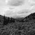 lac-maligne-21.jpg