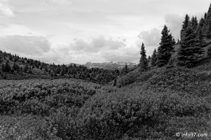 lac-maligne-26