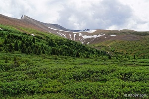 lac-maligne-37