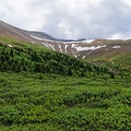 lac-maligne-37.jpg