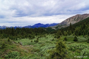 lac-maligne-48