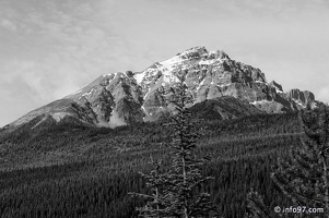 les-rocheuses-alberta-21