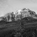 les-rocheuses-alberta-21.jpg