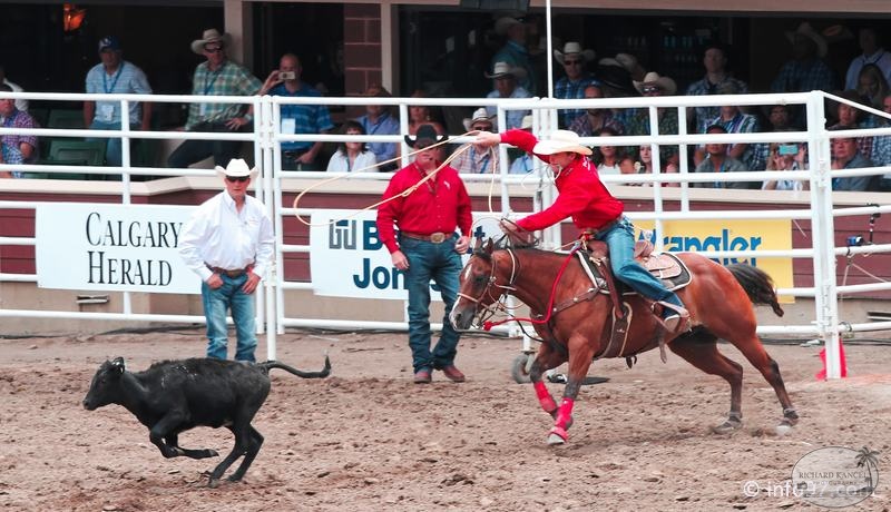 rodeo-stampede-alberta-025.jpg