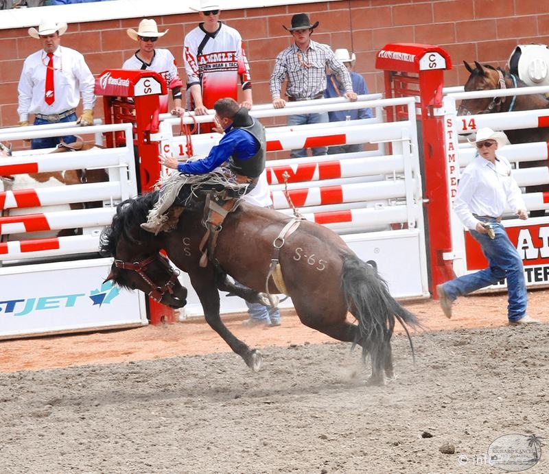 rodeo-stampede-alberta-031.jpg