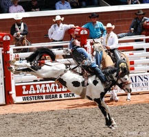 rodeo-stampede-alberta-039
