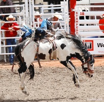 rodeo-stampede-alberta-044