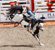 rodeo-stampede-alberta-046