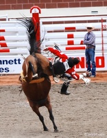 rodeo-stampede-alberta-050