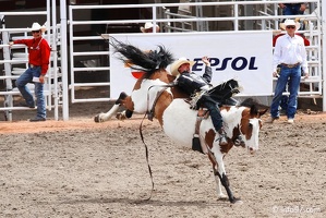 rodeo-stampede-alberta-052