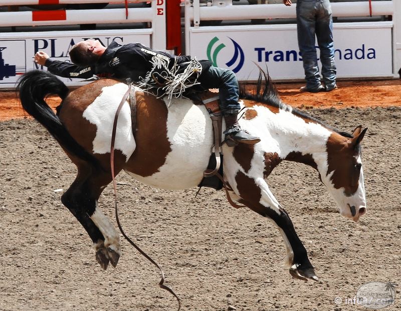 rodeo-stampede-alberta-054.jpg