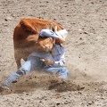 rodeo-stampede-alberta-071.jpg