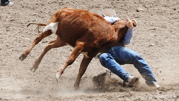 rodeo-stampede-alberta-072