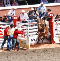 rodeo-stampede-alberta-075