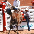 rodeo-stampede-alberta-076.jpg