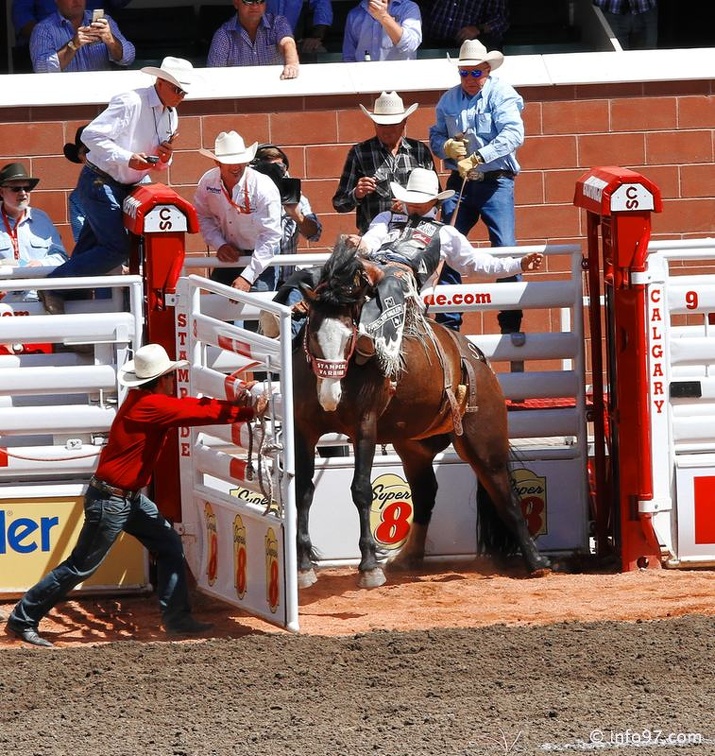rodeo-stampede-alberta-081.jpg