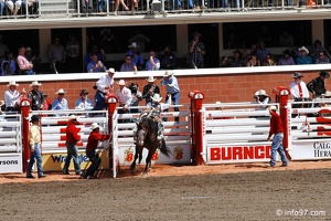 rodeo-stampede-alberta-082