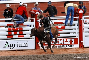 rodeo-stampede-alberta-088
