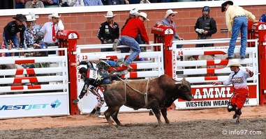 rodeo-stampede-alberta-090