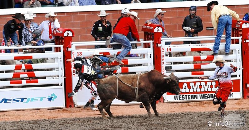 rodeo-stampede-alberta-090.jpg