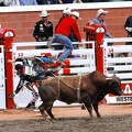 rodeo-stampede-alberta-090.jpg