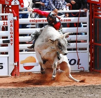 rodeo-stampede-alberta-093