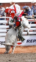 rodeo-stampede-alberta-095