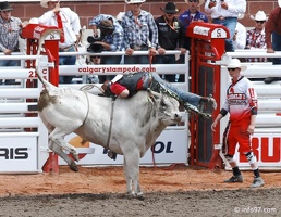 rodeo-stampede-alberta-097