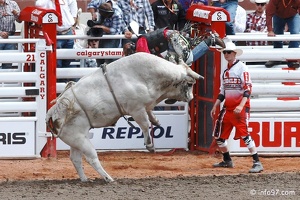 rodeo-stampede-alberta-098