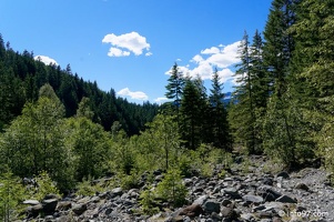 clearwater-park-wells-gray-004