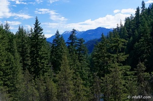 clearwater-park-wells-gray-012