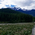 clearwater-park-wells-gray-014.jpg