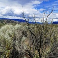 osoyoos-42.jpg