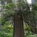 revelstoke-115.jpg