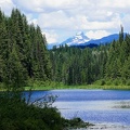 park-wells-gray-09.jpg