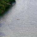 la-romana22.jpg