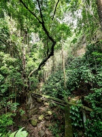 saint-kitts045