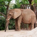 zoo-miami-35.jpg