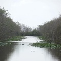 holland-america-everglades-miami-11.jpg