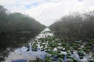 holland-america-everglades-miami-23