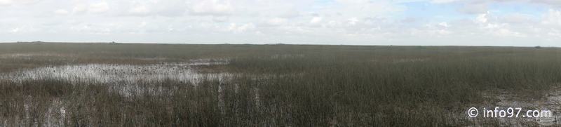 holland-america-everglades-miami-27