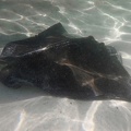 holland-america-half-moon-cay-10.jpg