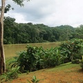 america-holland-panama-tribu-074.jpg