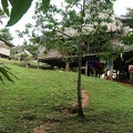 america-holland-panama-tribu-121.jpg
