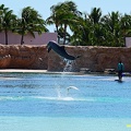 bahamas-atlantis-nassau090.jpg